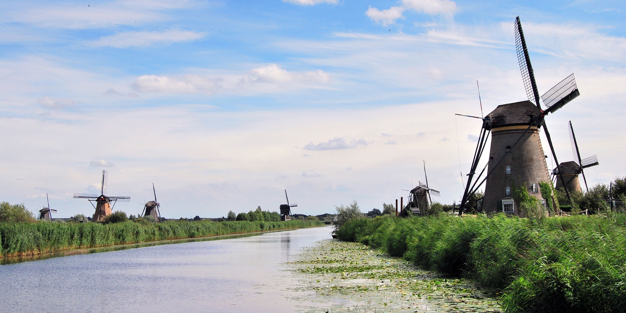 National taxes Rotterdam International Center