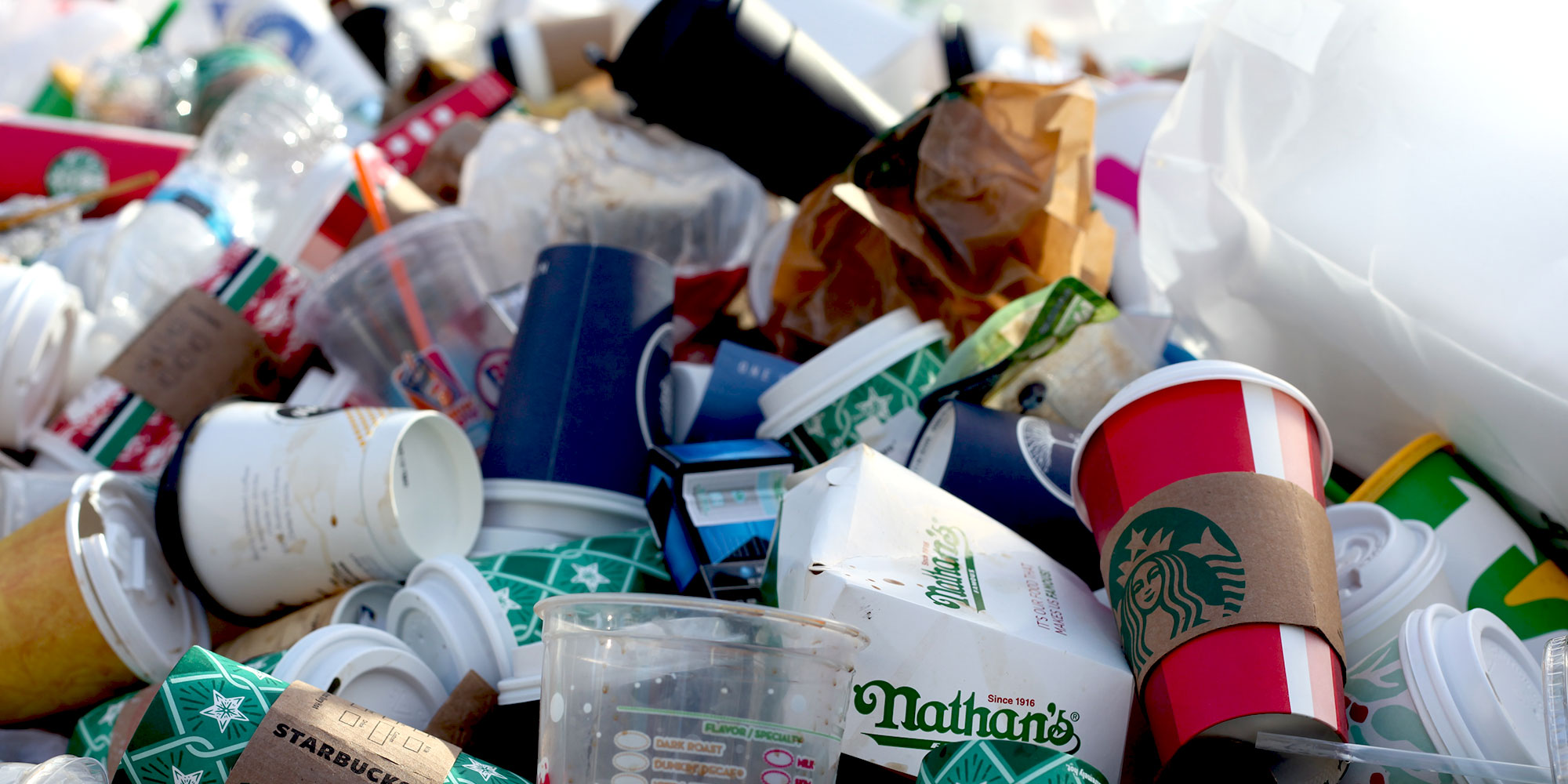 Waste disposal - Rotterdam Expat Centre